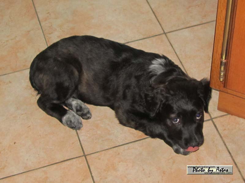 Schliessen von jako0000005.jpg