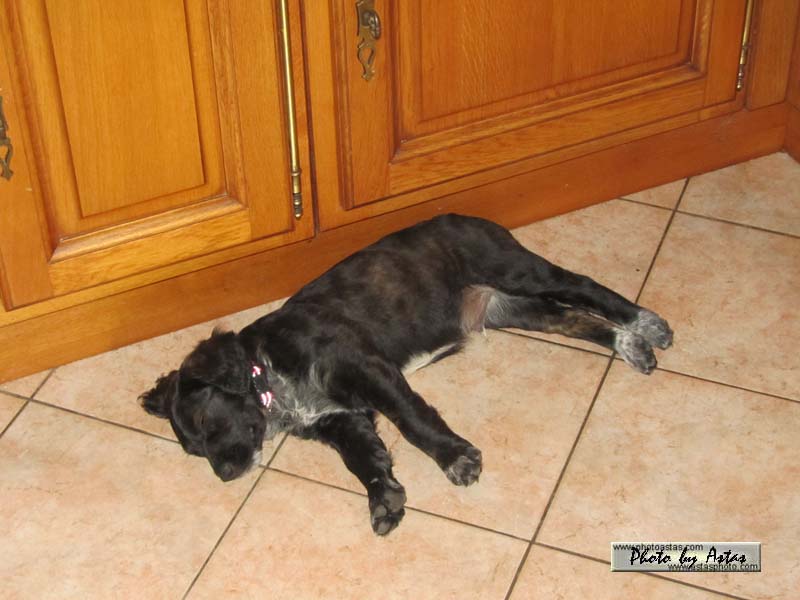 Schliessen von jako0000014.jpg