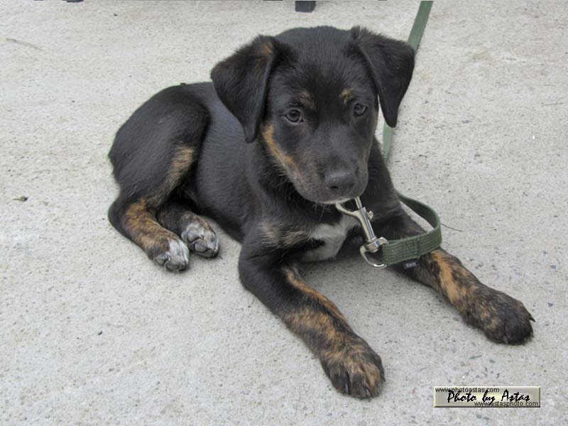 Schliessen von balou001.jpg