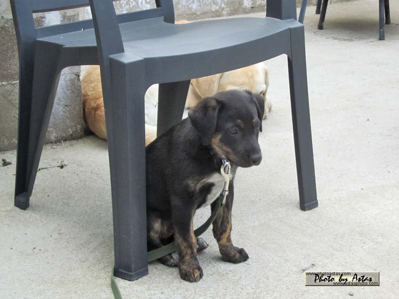 Schliessen von balou002.jpg