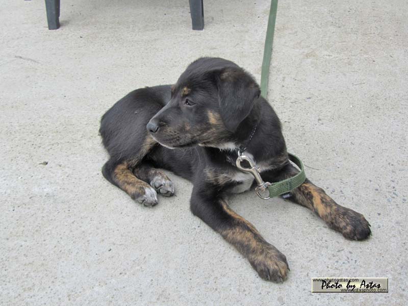 Schliessen von balou003.jpg