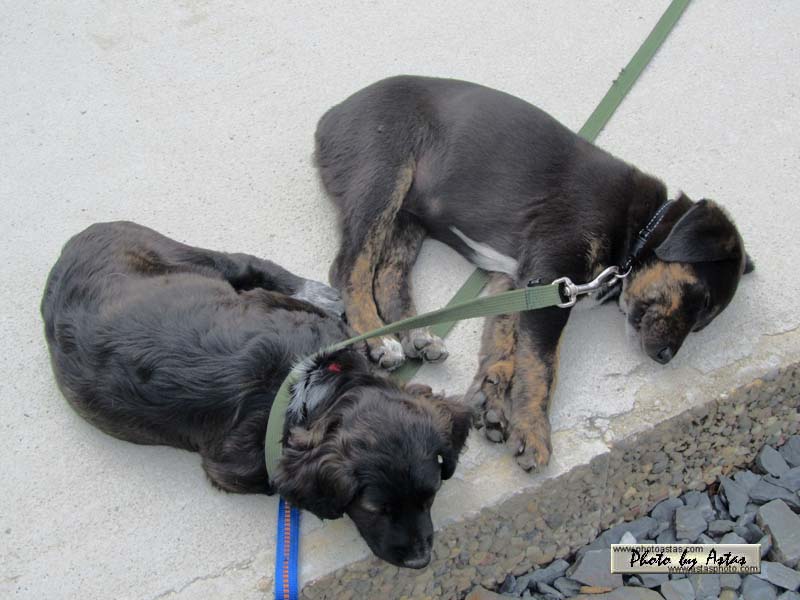 Schliessen von balou004.jpg