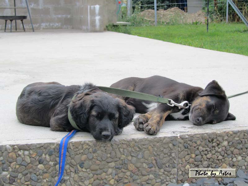Schliessen von balou005.jpg