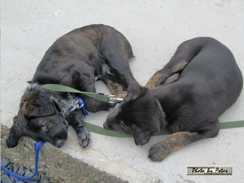 Schliessen von balou007.jpg