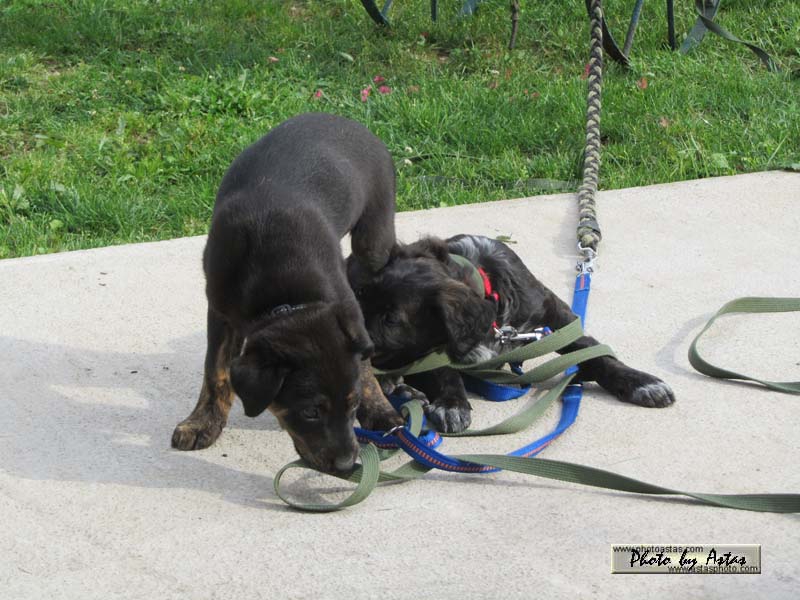 Schliessen von balou012.jpg