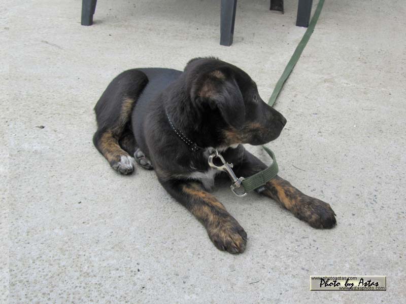Schliessen von balou016.jpg