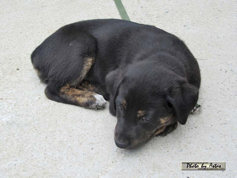 Schliessen von balou017.jpg