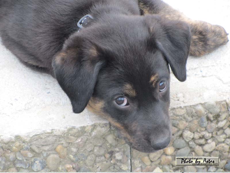 Schliessen von balou018.jpg