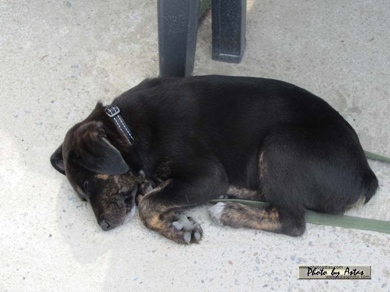 Schliessen von balou019.jpg