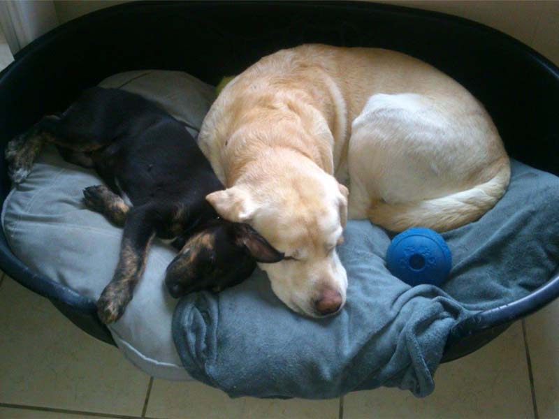 Schliessen von balou020.jpg