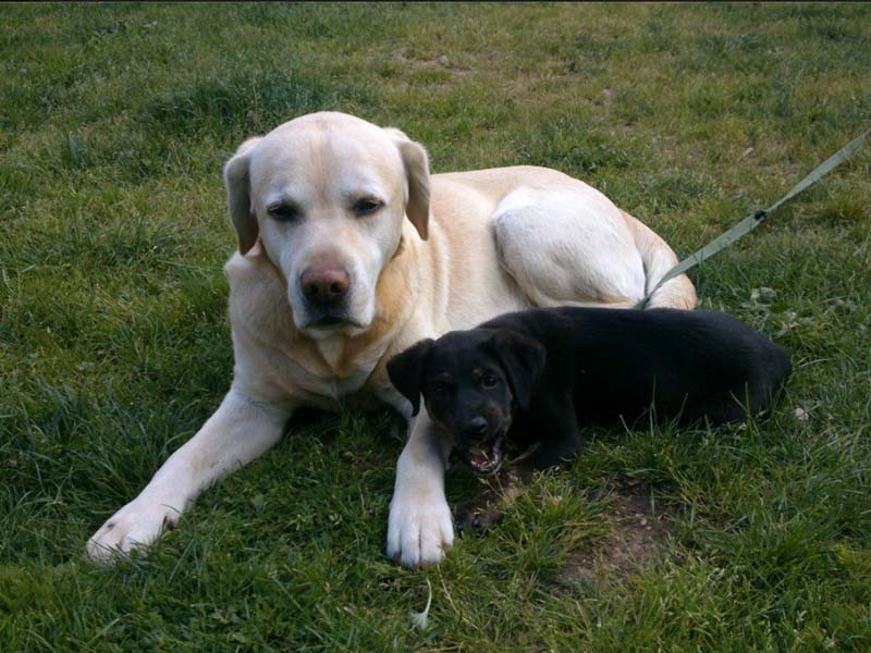 Schliessen von balou021.jpg